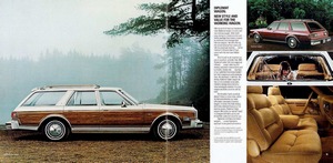1980 Dodge Diplomat-06-07.jpg